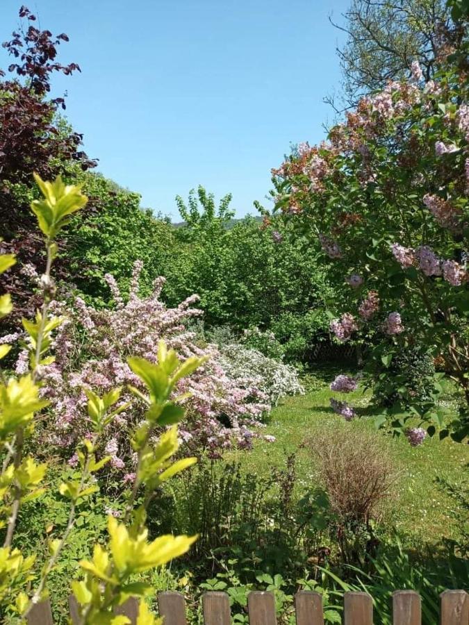 L'Escale Arquaise, La Maison Au Jardin Fleuri A 5 Min De Dieppe Arques-la-Bataille Exterior foto